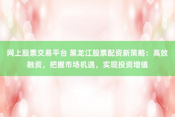 网上股票交易平台 黑龙江股票配资新策略：高效融资，把握市场机遇，实现投资增值