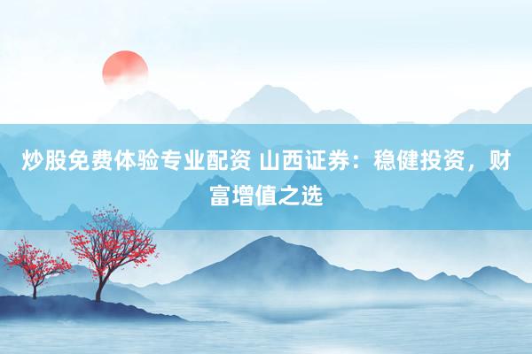 炒股免费体验专业配资 山西证券：稳健投资，财富增值之选