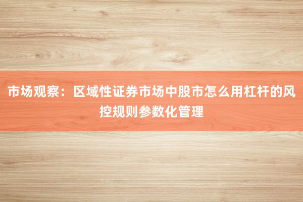 市场观察：区域性证券市场中股市怎么用杠杆的风控规则参数化管理