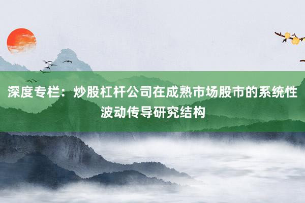 深度专栏：炒股杠杆公司在成熟市场股市的系统性波动传导研究结构